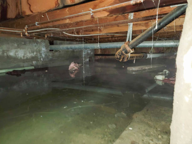 Best Water damage restoration near me  in South Huntington, NY