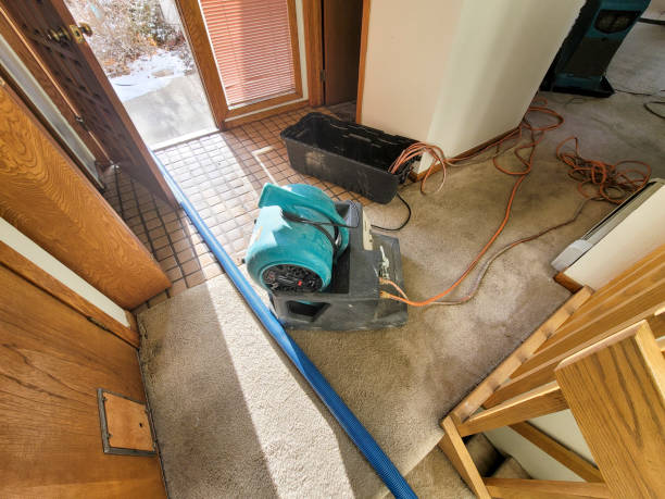 Best 24-hour water damage restoration  in South Huntington, NY