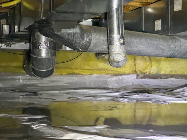 Best Mold removal after water damage  in South Huntington, NY