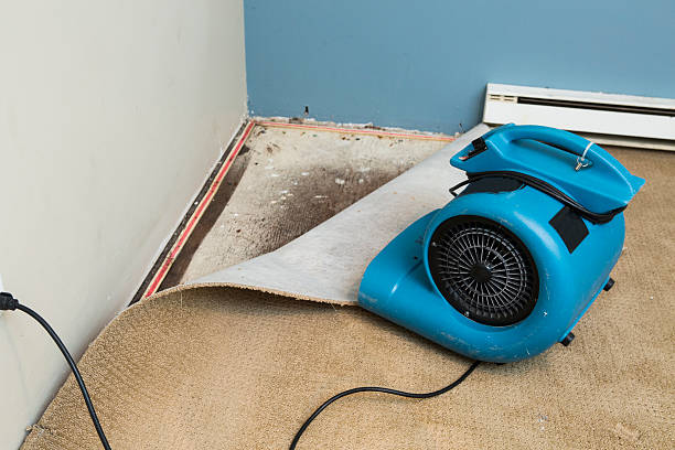 Best Carpet water damage restoration  in South Huntington, NY